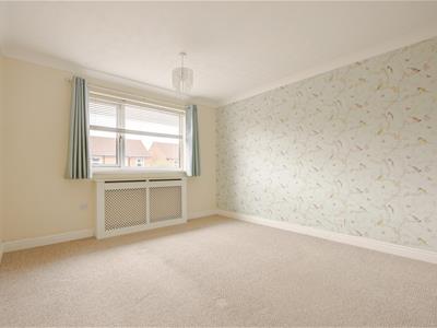 Picture 11